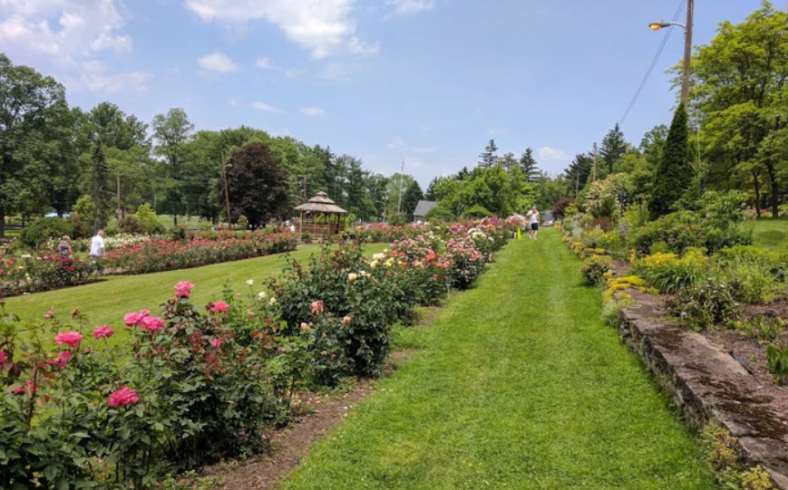 Rose Garden at McKeesport Garden Club, United States